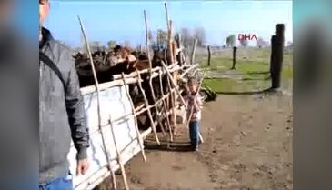 Litresi 120 lira ama talep yağıyor