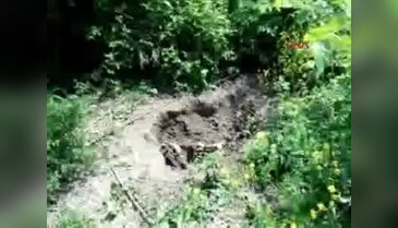 Ormanda kemik ve kafatası parçaları bulundu