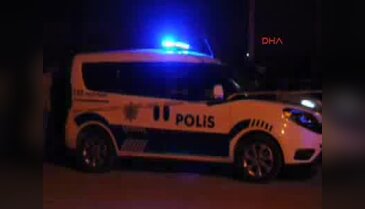 Lüks cipin içinde öldürüldü