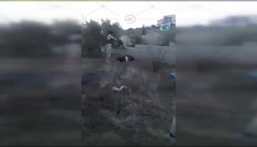Mısır askerlerinden sivil katliamı