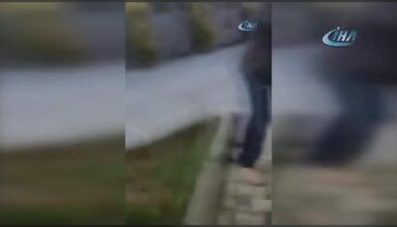 Havlayan köpeği levyeyle dövdü