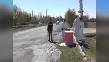 Bir ilde daha kuş gribi paniği!