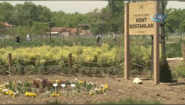 Sağlıklı gelecek için tohumlar Bursa Nilüfer'de el değiştirdi