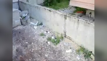 Manisa'da yeni doğan bebeği poşete koyup sokağa bıraktılar