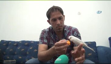 Bu kuş hem muhabbet hem dua ediyor