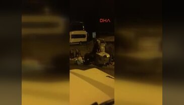 Bursa'da ayılar ormandan çıkıp çöp konteynerlerınde yiyecek aradı