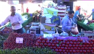 Bursa'da domatesin ateşi düştü