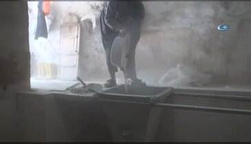 Orkide kökleri burada salep oluyor