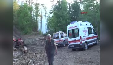 Devrilen ağacın altında kalan orman işçisi öldü