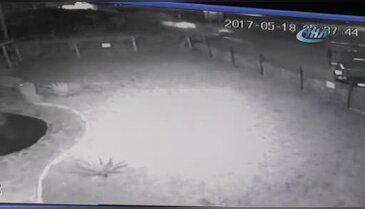 Otomobil kamyona çarptı: 1'i ağır 5 yaralı