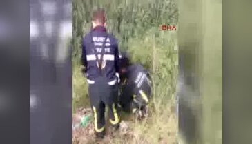 Bursa'da liselilerin dikkati köpeği kurtardı