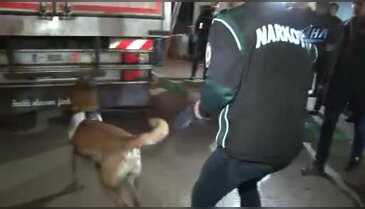 Bursa'da 162 kilo eroinle yakalanan 2 kişinin yargılanmasına başlandı