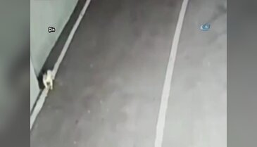 Çocuğunu yol kenarına bırakıp kaçtı