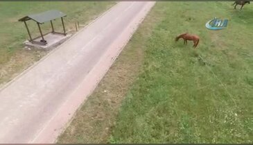 Bursa'da kayıp zihinsel engelli, kamyonet kasasında uyurken bulundu