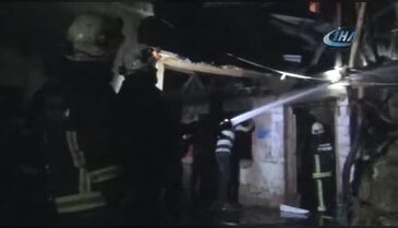 Bursa'da yangından kaçan tavuklar ağaca çıktı