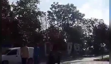 Bursa'da elektrik telleri alev alev yandı - 1