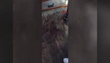 Denizde dehşet gecesi! Tur teknesini kaçırmaya kalkıştılar