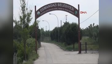 Bursa'daki bu villalar kedilere özel
