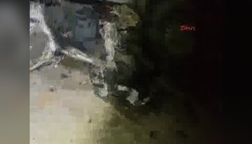 Otomobil TIR'ın altına girdi: 2 ölü