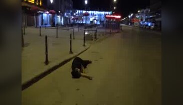 Yol ortasında bulunan kadın hamile çıktı