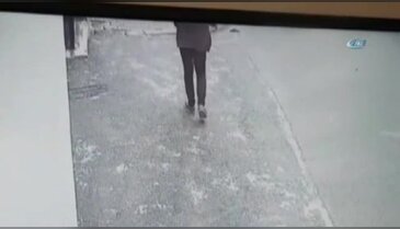 İstanbul'da köpek hırsızları kamerada