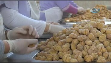 Bayramların vazgeçilmez hediyesi Bursa'nın kestane şekeri