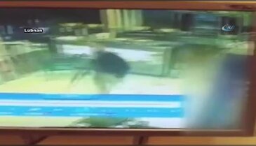 Kalaşnikoflu saldırganın rahatlığı pes dedirtti