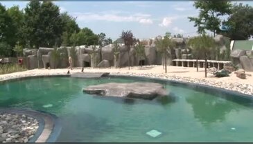 Bursa Zoo'nun yeni misafirleri fok ve penguen oldu