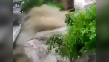 Köprü çöktü: İnsanlar aşağı düştü