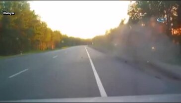 Feci kaza kamerada