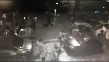 Ağaç insanların üzerine böyle devrildi