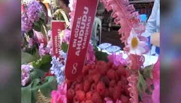 Bursa'da 3. Uluslararası Cumalıkızık Ahududu Festivali düzenlendi