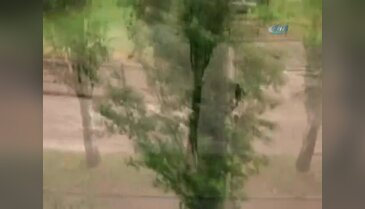 Karşıya geçmek isterken sele kapıldı