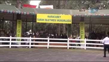 Bursa'da lüks daire fiyatına taylar kapışıldı