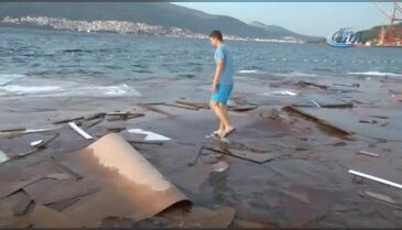 Bursa sahillerinde çevre felaketi!