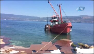 Bursa'da denize dökülen suntaların sebebi belli oldu