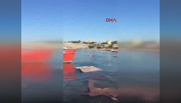 Bursa'da kıyıya vuran suntalar temizlendi