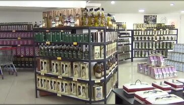 Zeytinde meyve tutumu zeytinyağı ihracatçılarını sevindirdi