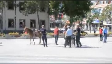 Elektrik faturası fazla geldi, valilik önünde soyundu!