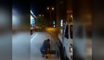 Ağaç katliamı kamerada! Reklam panoları görünmüyor diye...