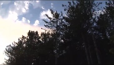 Bursa'da orman yangını! 4 yangın söndürme helikopteri... - 2