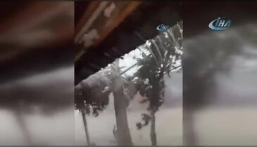 Bursa'da dolu yüzlerce kuşu telef etti!