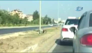 Antalya'da bir kişi tur otobüsüne saldırdı