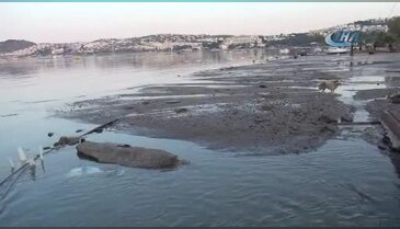 Deniz yükseldi, onlarca aracı sürükledi! - 2