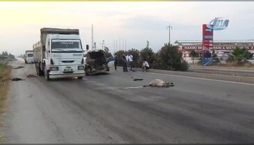 Otomobil sürüye daldı: 30 hayvan telef oldu