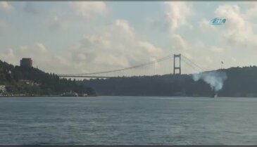 Yunuslar İstanbul Boğazı'nda renkli görüntülere sahne oldu