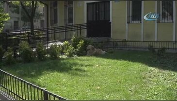 Bursa'da can dostlar için her köşeye bir kap su