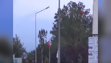 Bursa'da şiddetli rüzgar ağaçları devirdi