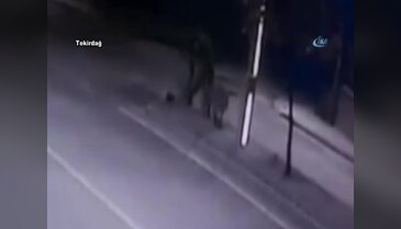 Tekirdağ'da bıçaklı saldırgan dehşeti: Önüne gelene saldırdı