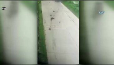 Minibüs kadına böyle çarptı